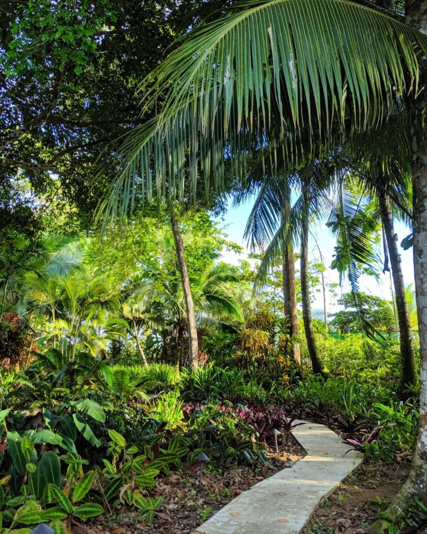 Bluff Beach Retreat Bocas del Toro Exterior foto