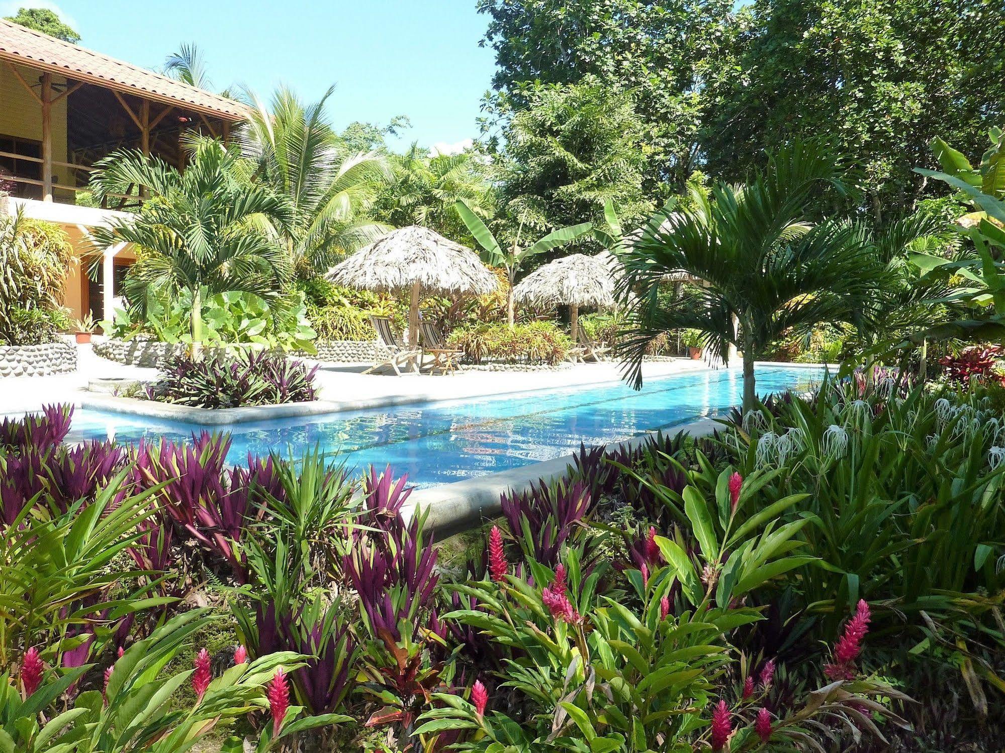 Bluff Beach Retreat Bocas del Toro Exterior foto