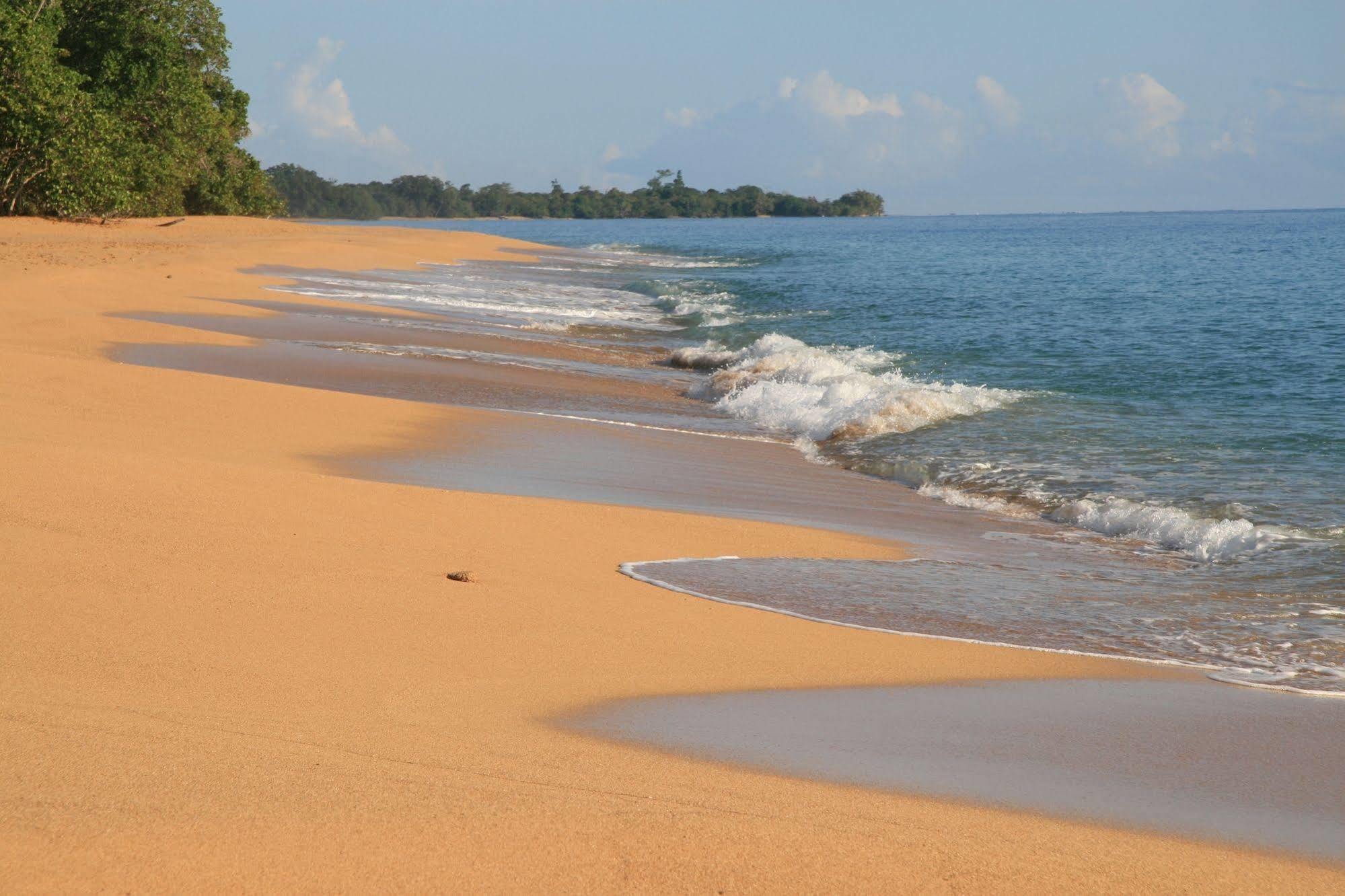 Bluff Beach Retreat Bocas del Toro Exterior foto